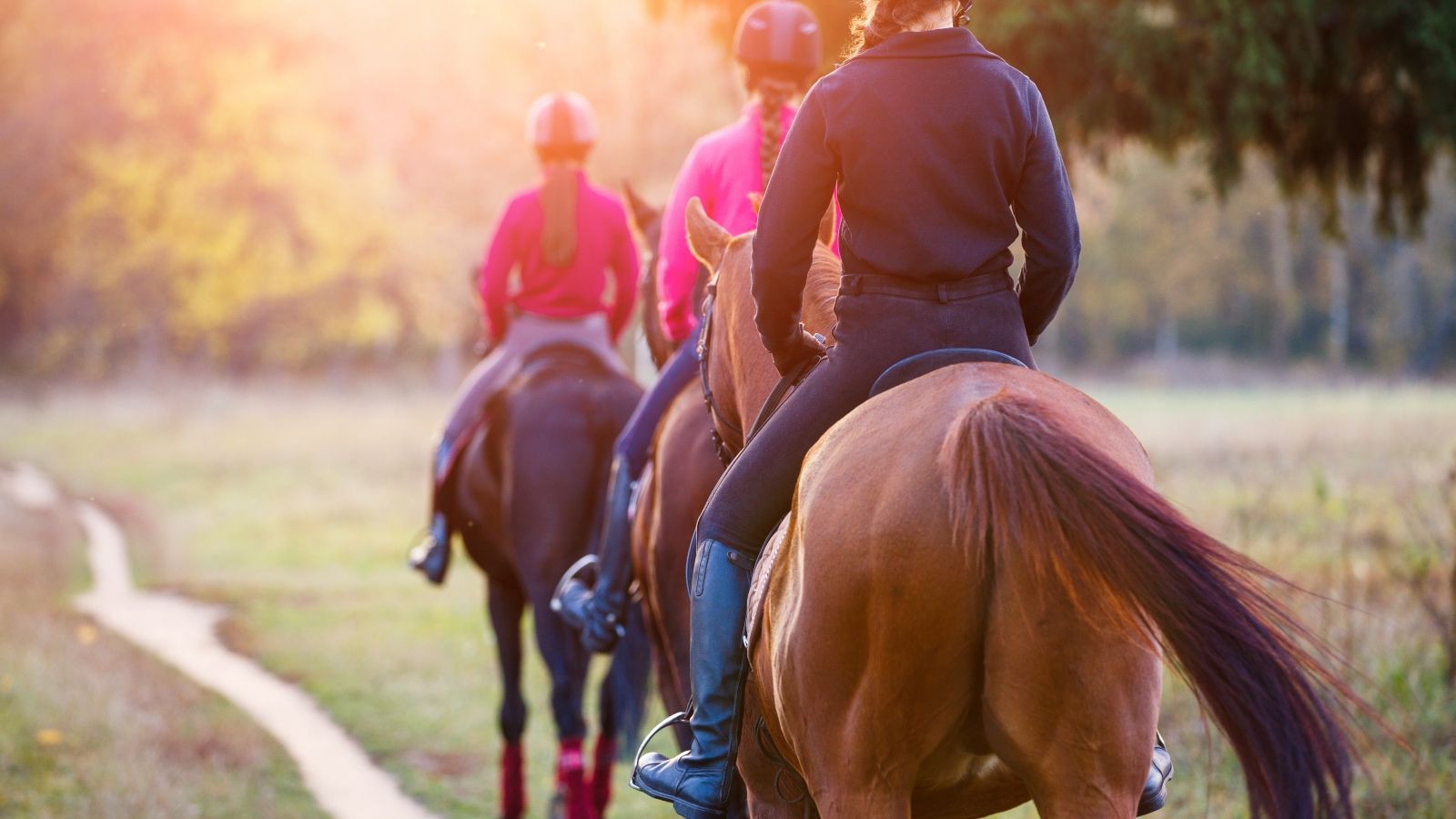 horse riding large banner