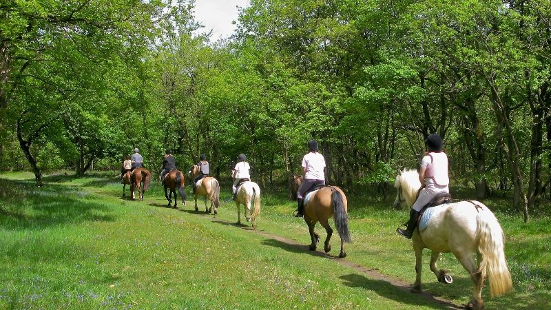 horse riding small inside gallery 2